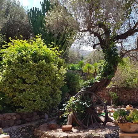 בית נופש Yourhouse Cas Sito Cala Tuent